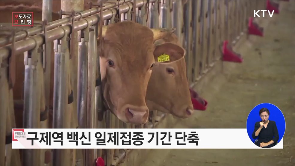 구제역 방역 개선, 재발방지에 총력