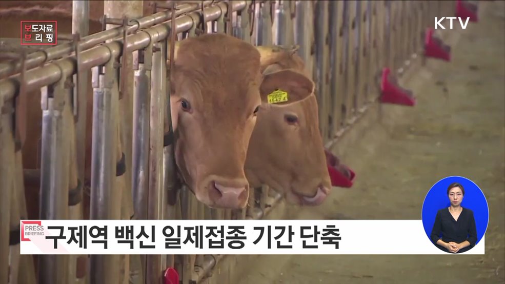 구제역 방역 개선, 재발방지에 총력