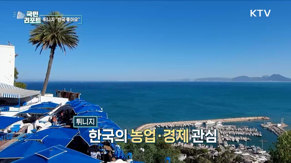 북아프리카 튀니지, K-문화 매력에 빠지다