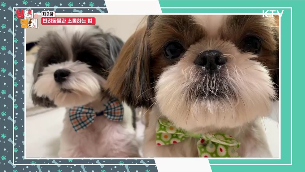 반려동물과 소통하는 법