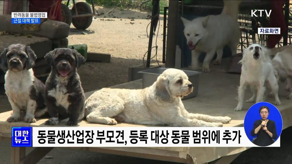 번식용 부모견 등록제 도입···변칙영업 단속 [정책현장+]