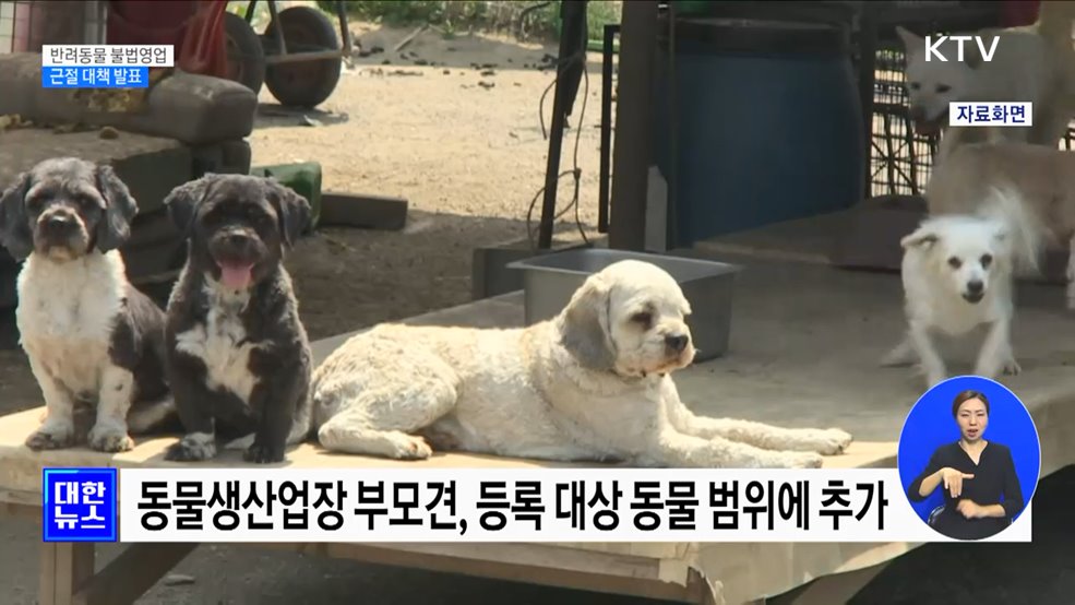 번식용 부모견 등록제 도입···변칙영업 단속 [정책현장+]
