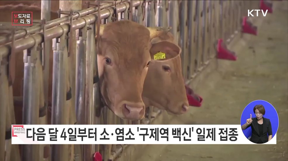 2023년 하반기 구제역 백신 일제 접종 추진
