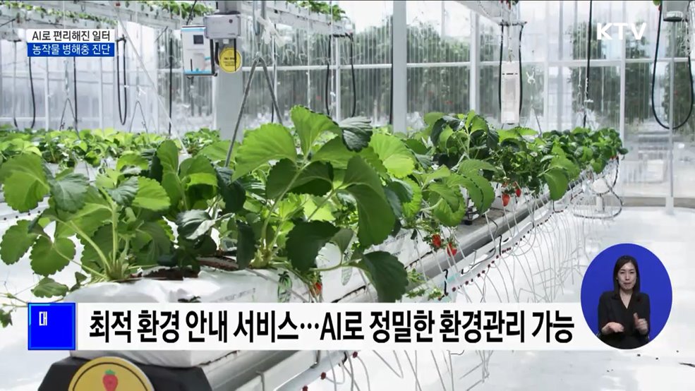 농작물 병해충도 진단한다···AI로 편리해진 일터