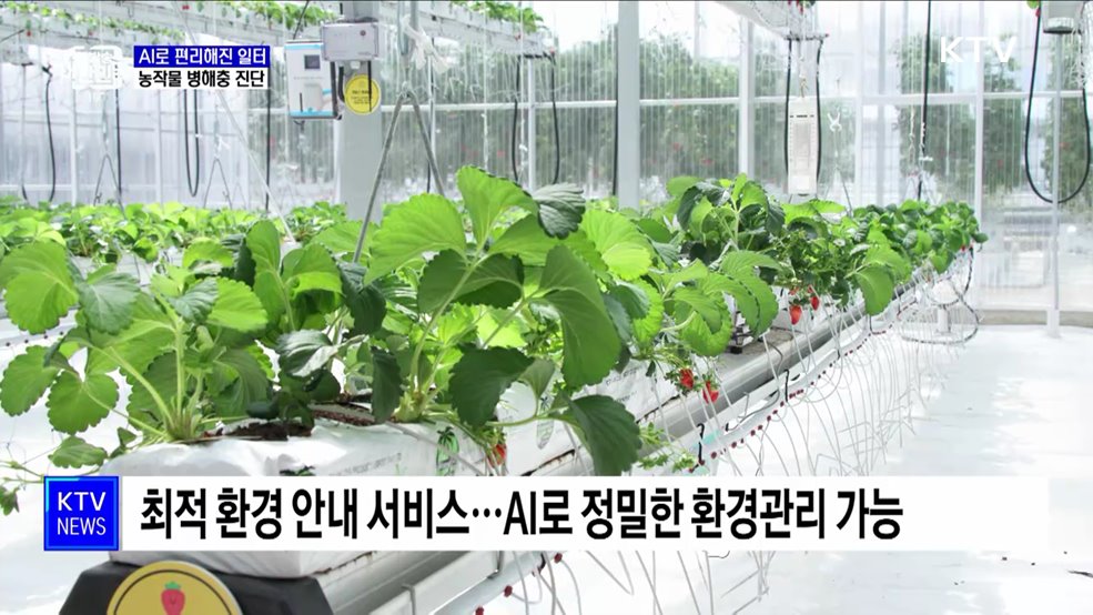 농작물 병해충도 진단한다···AI로 편리해진 일터