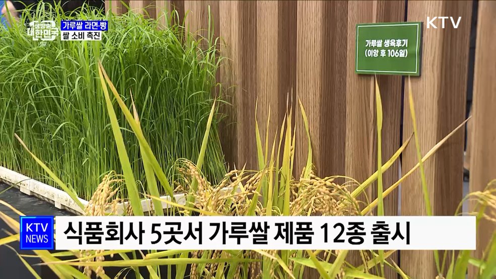 가루쌀 라면부터 빵까지···쌀 소비 촉진