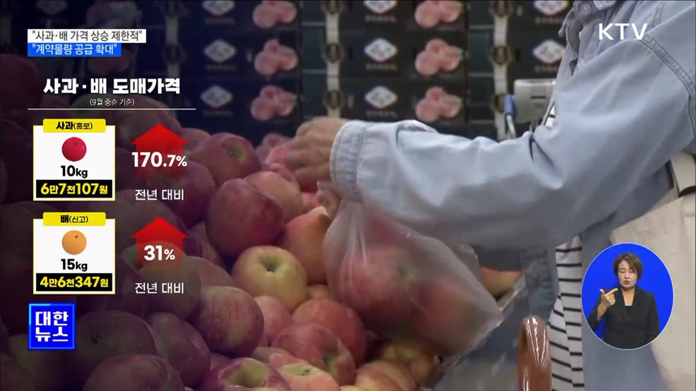 "사과·배 가격 상승 제한적···계약물량 공급 확대" [정책현장+]