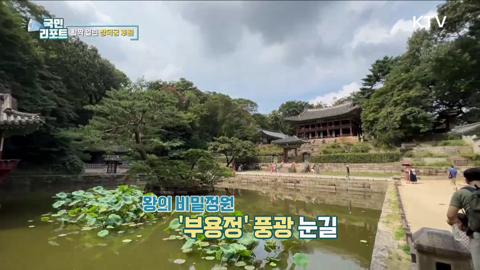 왕의 정원 '창덕궁 후원'으로 가을 나들이 가요