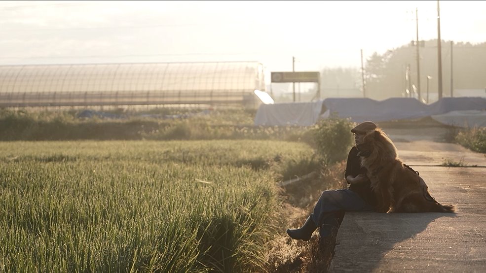 내 로망대로 산다!