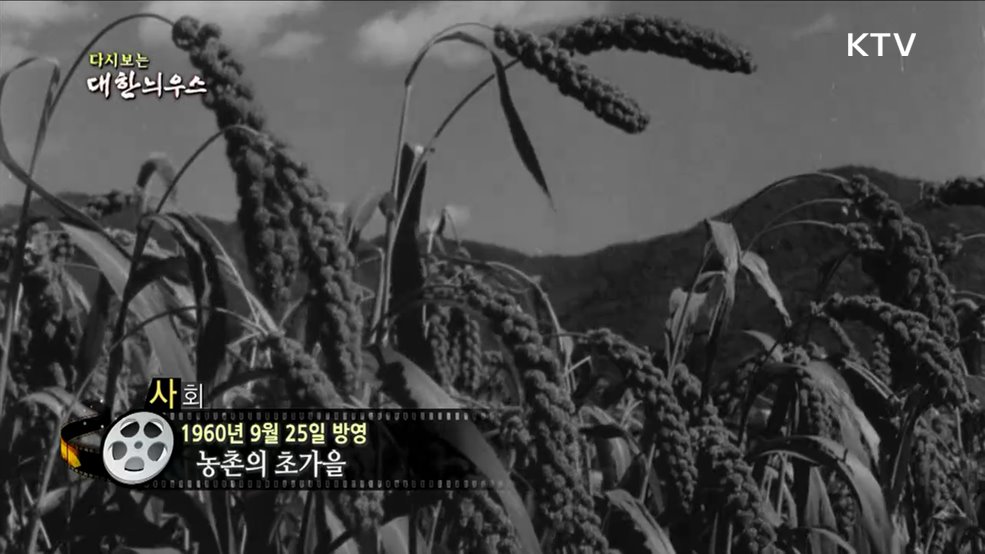 다시보는 대한늬우스 (60. 9. 25)