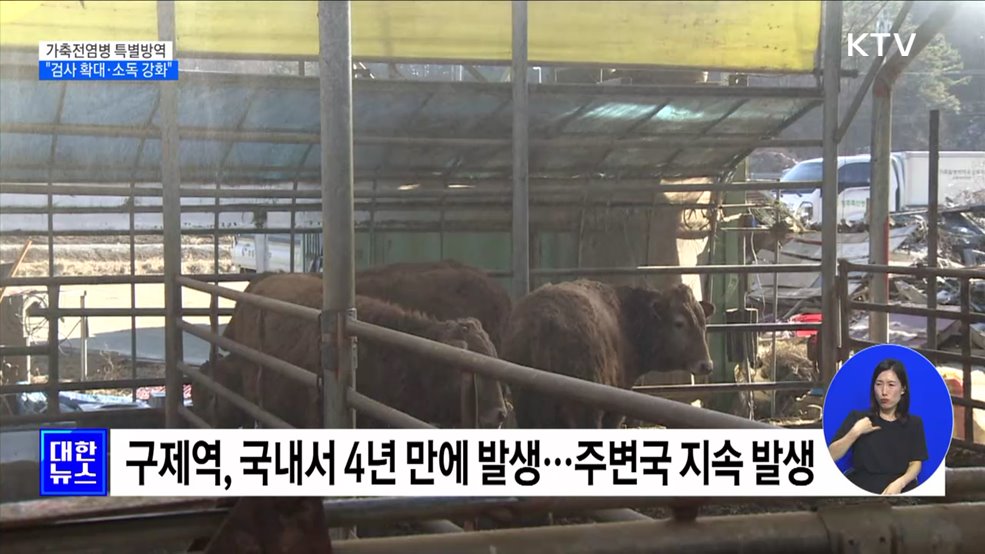 다음달부터 가축전염병 특별방역···"검사 확대·소독 강화" [정책현장+]