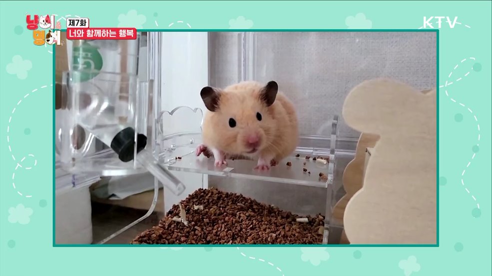 너와 함께하는 행복