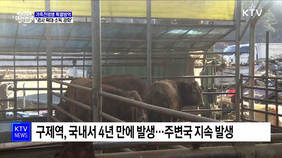 가축전염병 특별방역···"검사 확대·소독 강화"