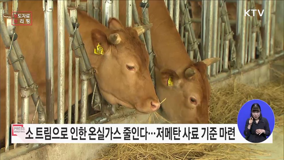 메탄 발생 저감사료 보급 확대를 위한 기준 마련