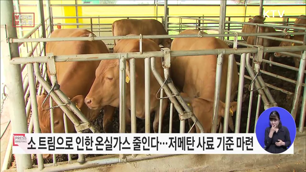 메탄 발생 저감사료 보급 확대를 위한 기준 마련