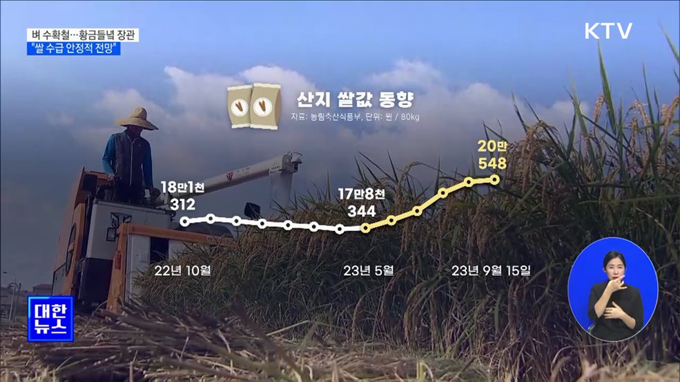 벼 수확철···"올 수확기 쌀 수급 안정적 전망" [정책현장+]