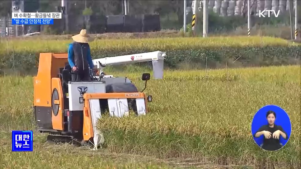 벼 수확철···"올 수확기 쌀 수급 안정적 전망" [정책현장+]