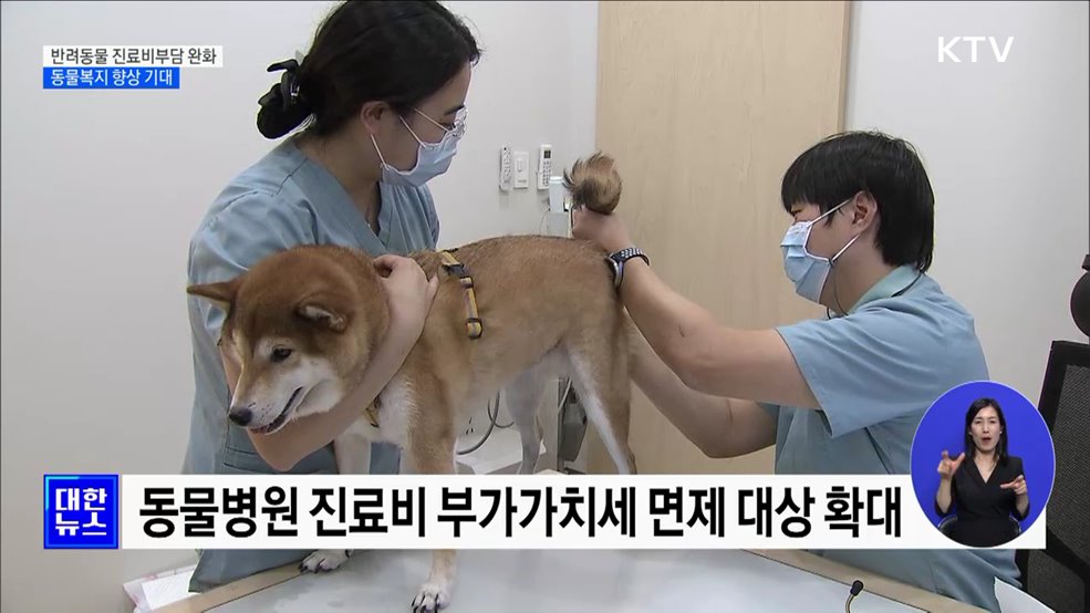 동물병원 진료비 부담 완화···길고양이 돌봄 가이드라인 마련 [정책현장+]