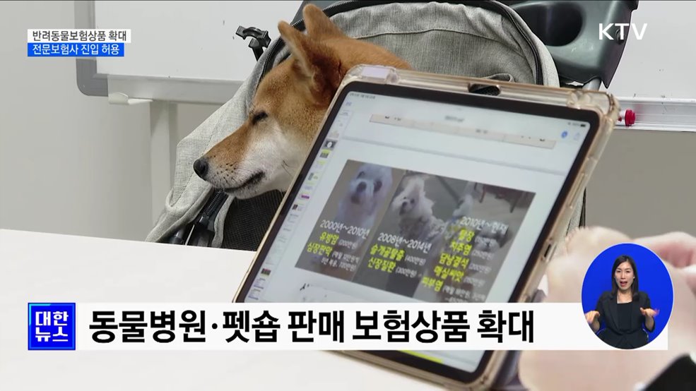 반려동물보험상품 확대···전문보험사 진입 허용