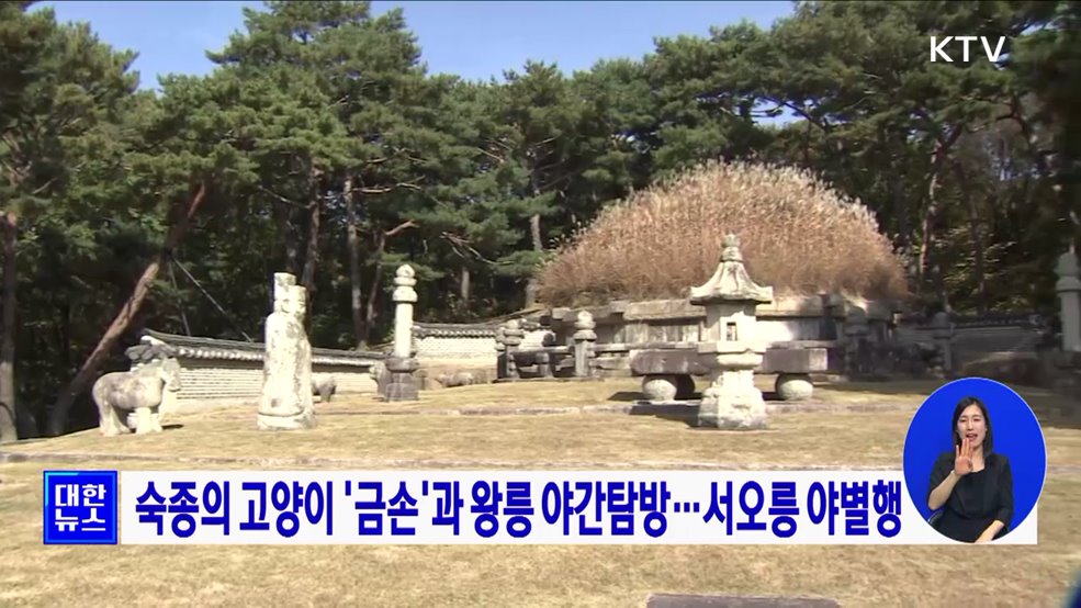 숙종의 고양이 '금손'과 왕릉 야간탐방···서오릉 야별행