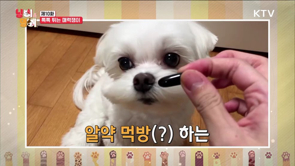 톡톡 튀는 매력쟁이