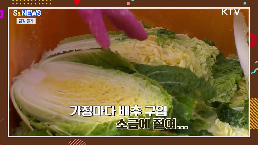 김장 재료 다 올랐다···배추·소금 할인 [S&News]