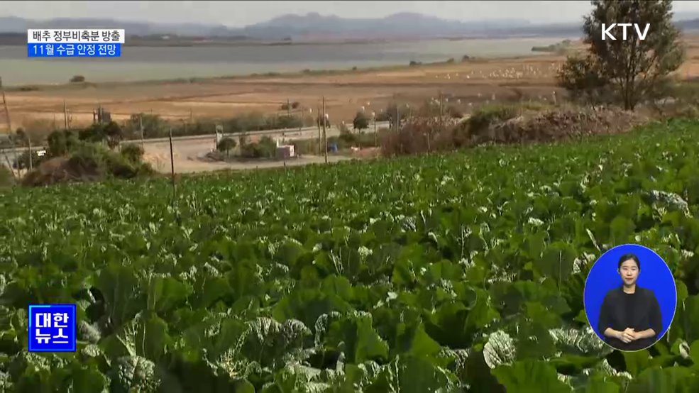"배추 다음 달부터 수급 안정 전망"