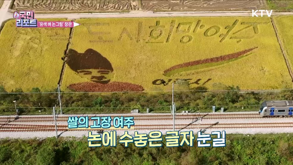 벼로 수놓은 작품, '유색 벼 논그림' 눈길