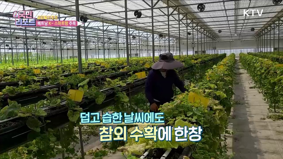 베트남 진출한 'K-스마트팜' 현지서 주목