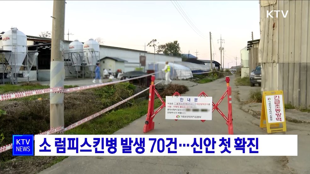 소 럼피스킨병 발생 70건···신안 첫 확진