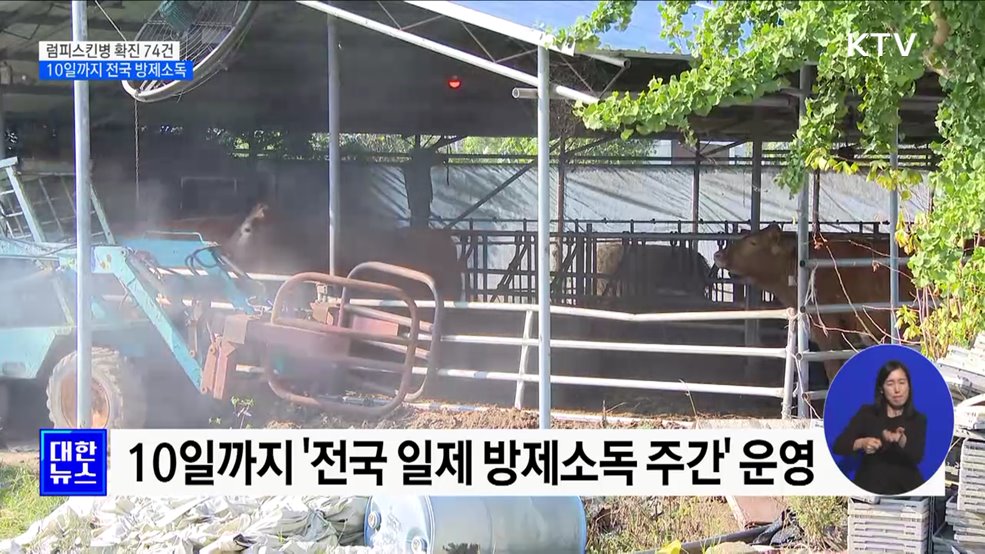 소 럼피스킨병 확진 74건···10일까지 전국 방제소독