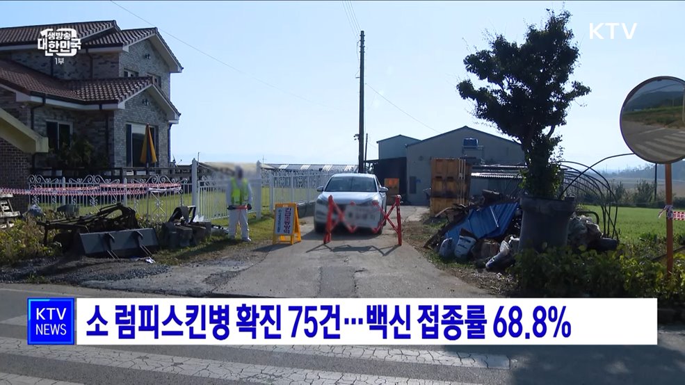 소 럼피스킨병 확진 75건···백신 접종률 68.8%