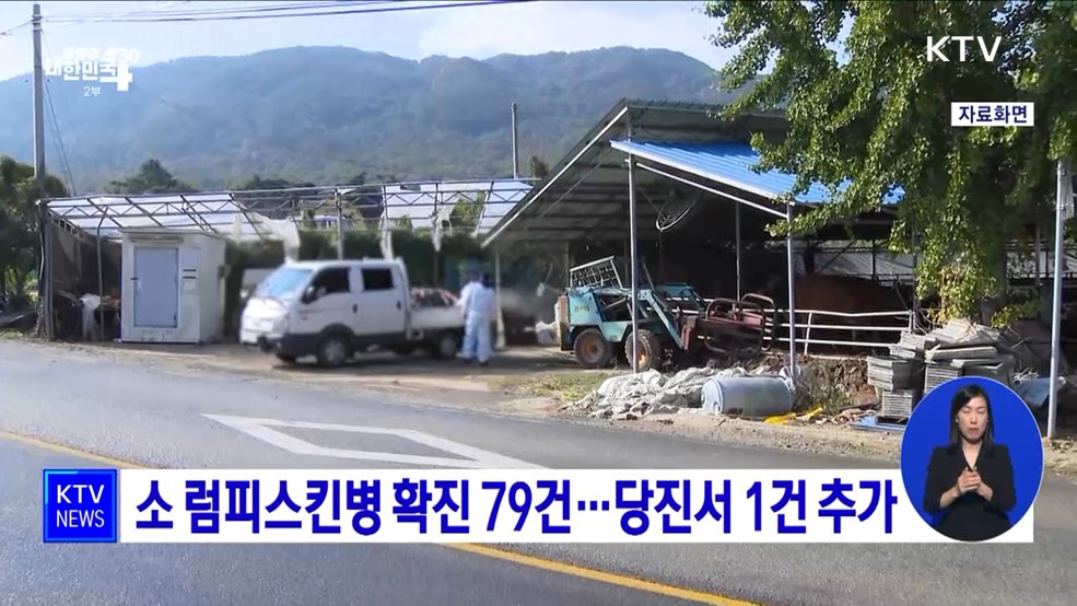 소 럼피스킨병 확진 79건···당진서 1건 추가