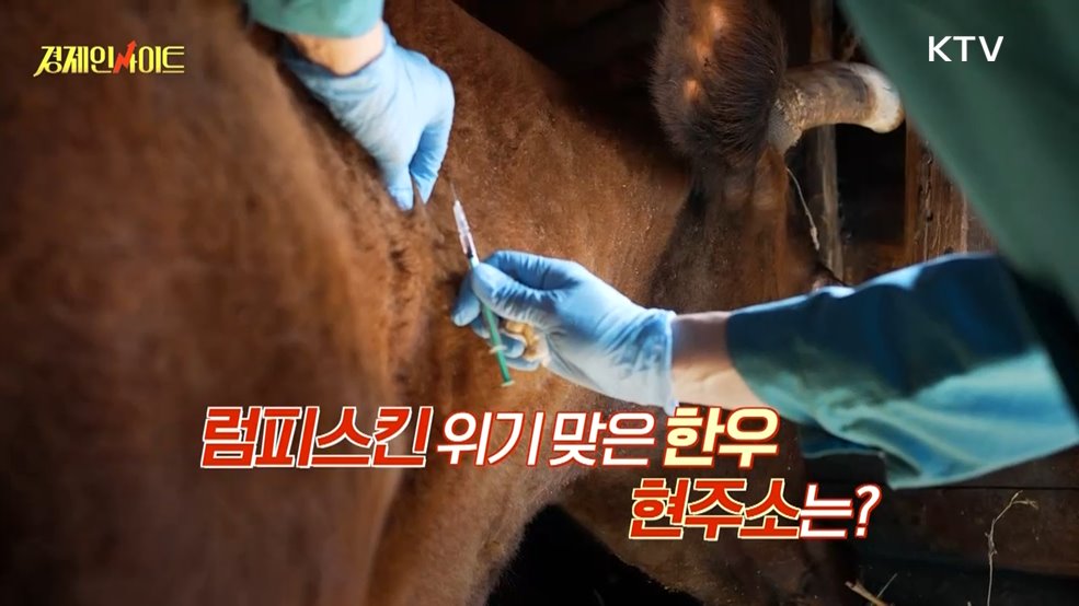 생방송 경제 인사이트 (78회)