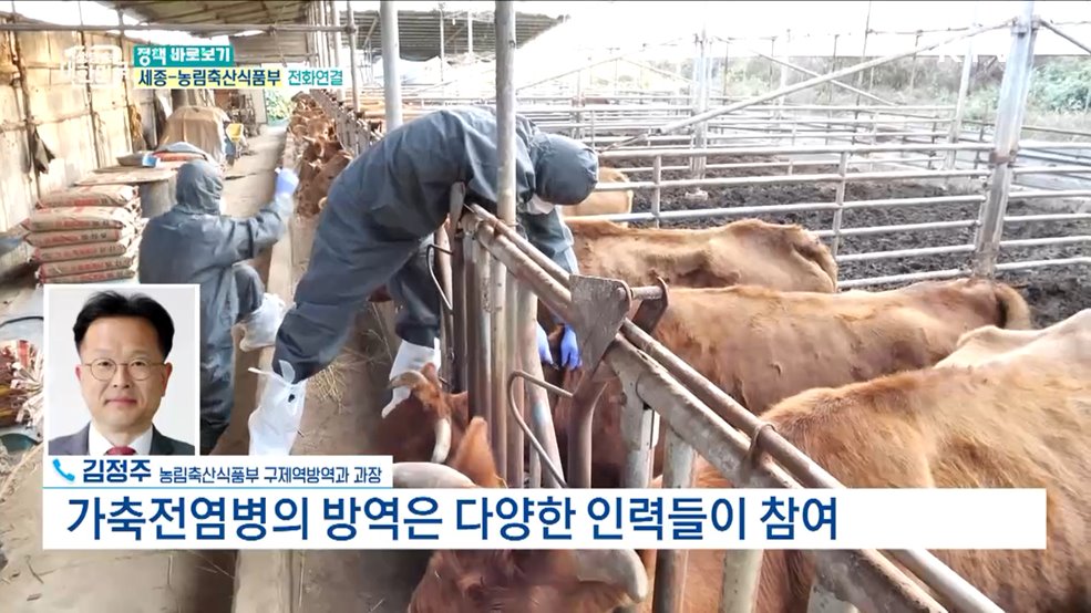 '럼피스킨병' 확산···가축방역관 인력 부족하다? [정책 바로보기]
