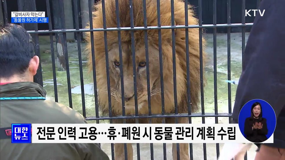 "갈비사자 막는다"···동물원 허가제 시행 [정책현장+]