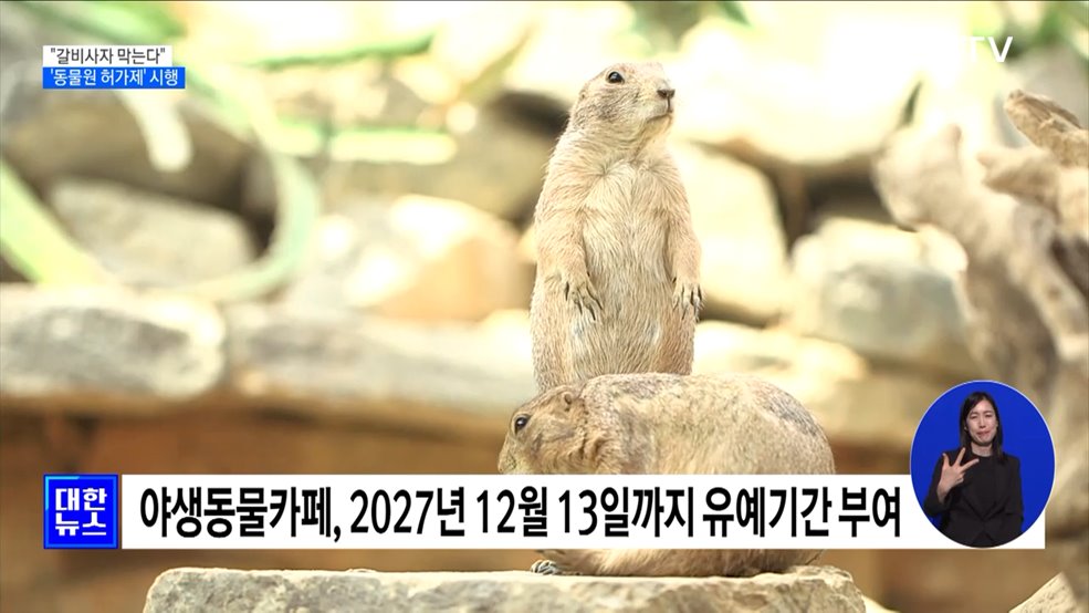 "갈비사자 막는다"···동물원 허가제 시행 [정책현장+]