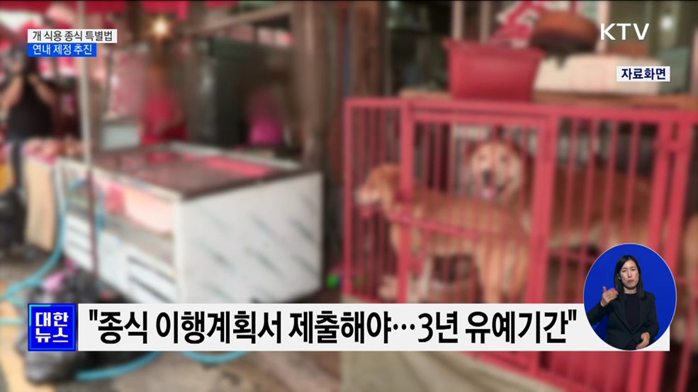 당정 "개 식용 종식 특별법 연내 제정 추진" [정책현장+]