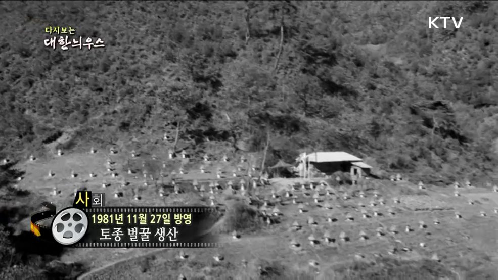 다시보는 대한늬우스 (81. 11. 27)