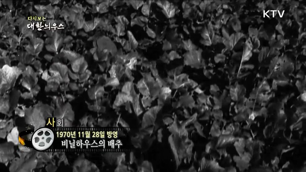 다시보는 대한늬우스 (70. 11. 28)