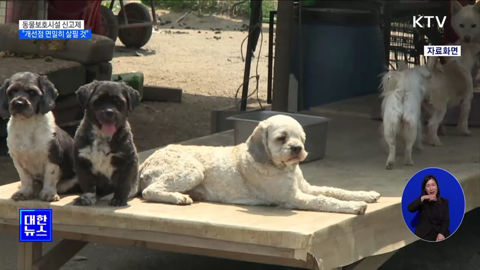 동물보호시설 신고제 난항···"제도 개선점 면밀히 살필 것" [정책현장+]