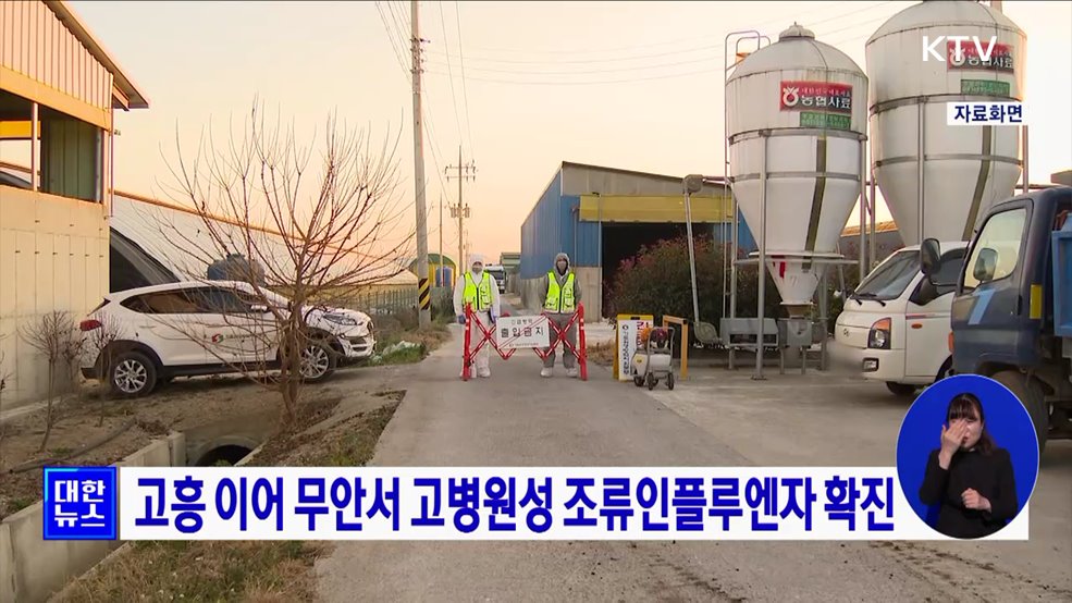 고흥 이어 무안서 고병원성 조류인플루엔자 확진