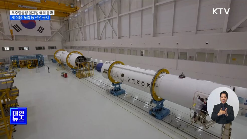 '한국판 나사' 우주항공청법 국회 통과···개 식용 전면 금지