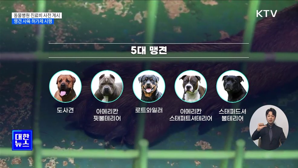 모든 동물병원 진료비 사전 게시···맹견 사육 허가제 시행