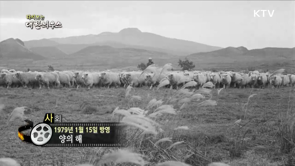다시보는 대한늬우스 (79. 1. 15)