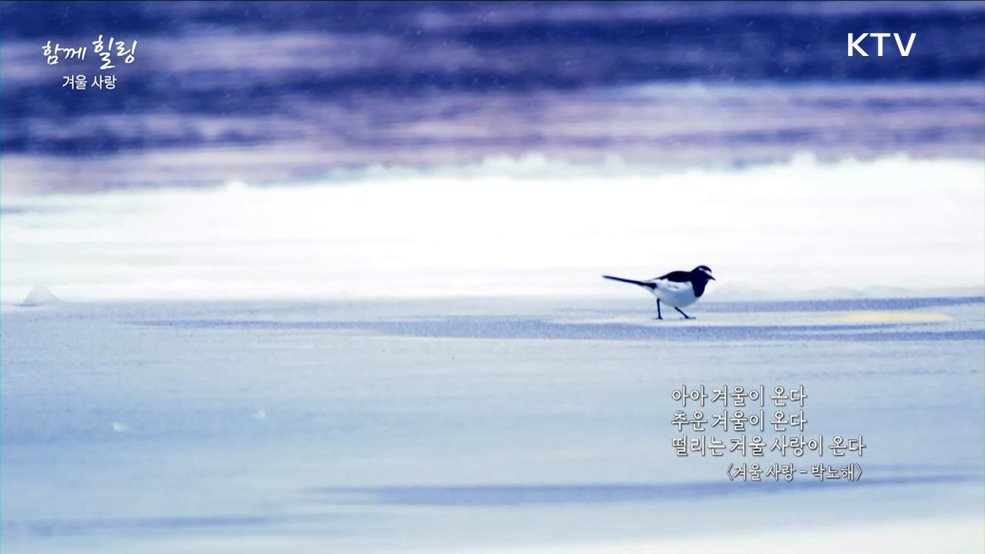 겨울 사랑 [함께 힐링]