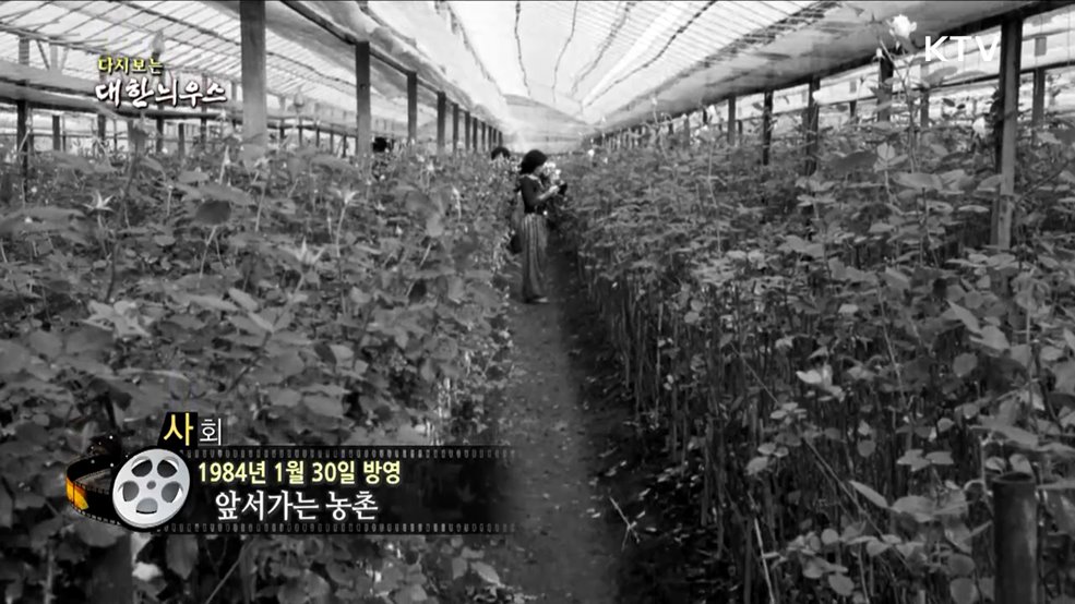다시보는 대한늬우스 (84. 1. 30)