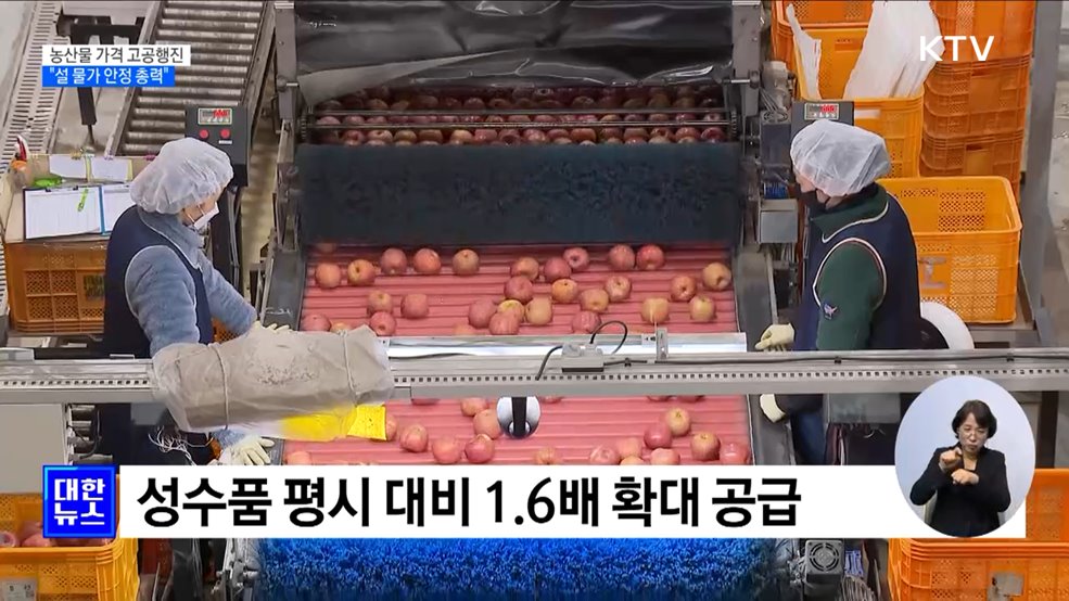 농산물 가격 고공행진···"수급 안정대책 차질없이 추진"