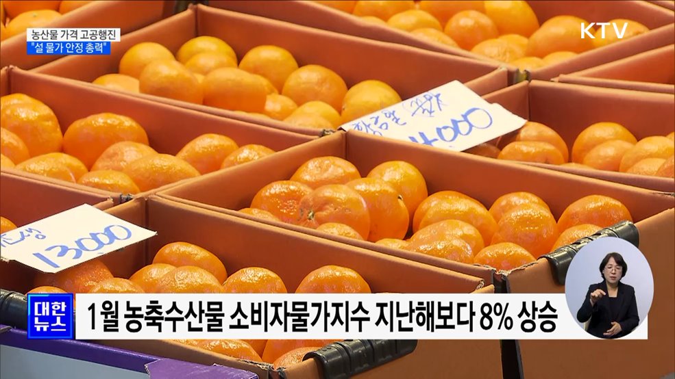 농산물 가격 고공행진···"수급 안정대책 차질없이 추진"