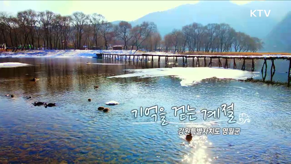 기억을 걷는 계절 - 강원특별자치도 영월군